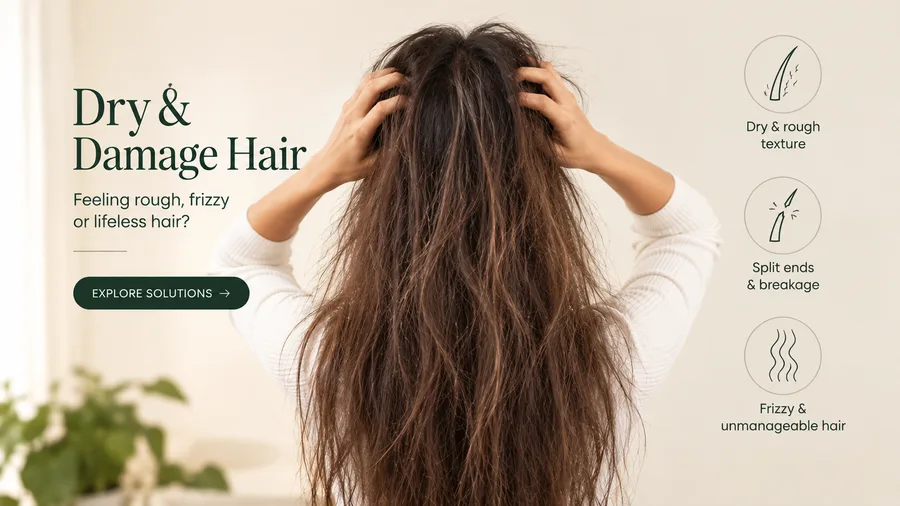 Dry & Damage Hair solutions